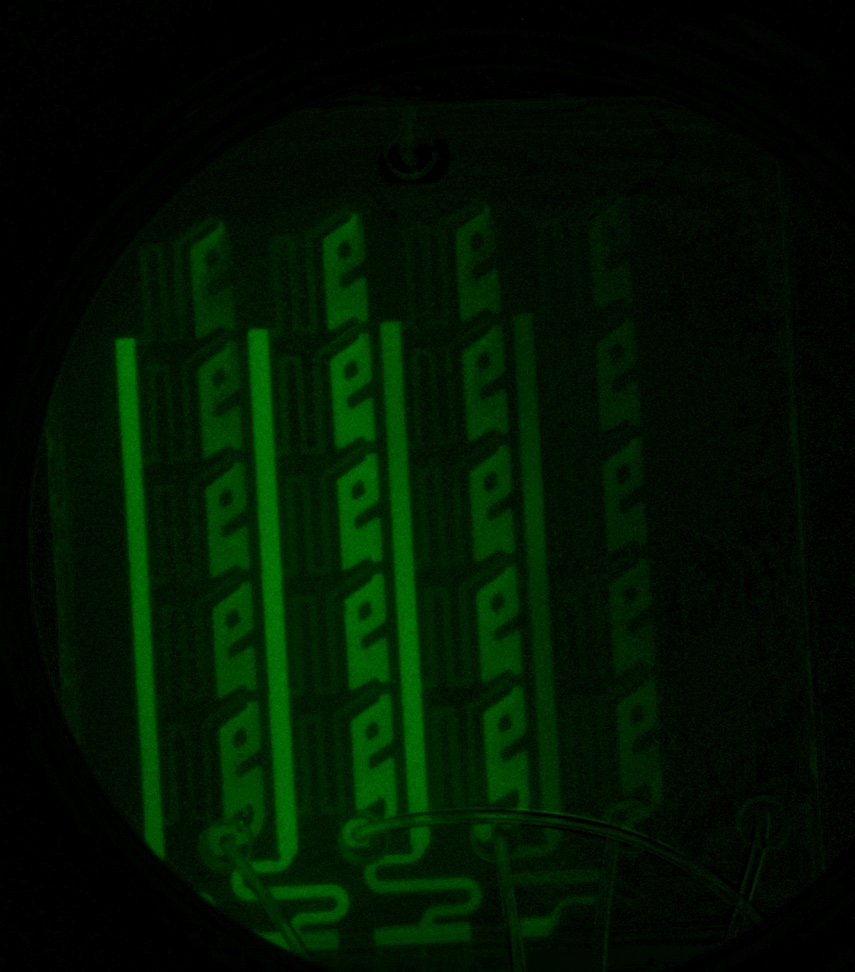 The microfluidic chip photographed under fluorescence, its channel network glowing green against a dark background.